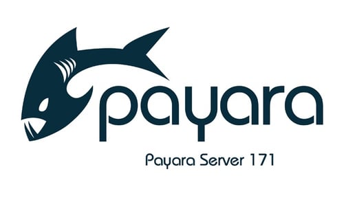 Payara-Server-171-small.jpg